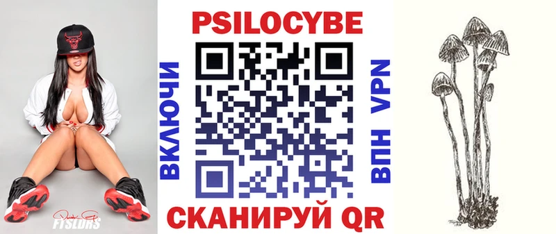 как найти   Котово  Псилоцибиновые грибы Cubensis 